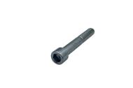 Dhollandia Allenbolt with head BI12.080